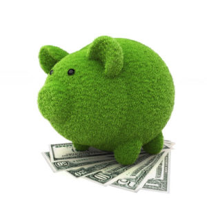 save-energy-dollars-piggy-bank